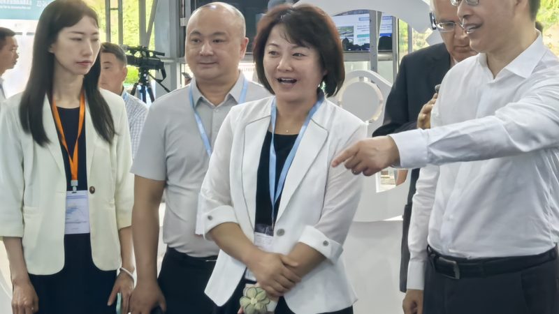 刹车盘刹车片安装流程：确保行车安全的细节解析